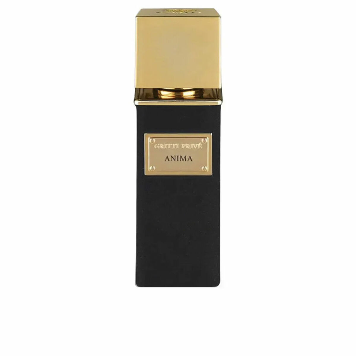 Men’s Perfume Gritti ANIMA EXTRAIT DE PARFUM EDP 100 ml
