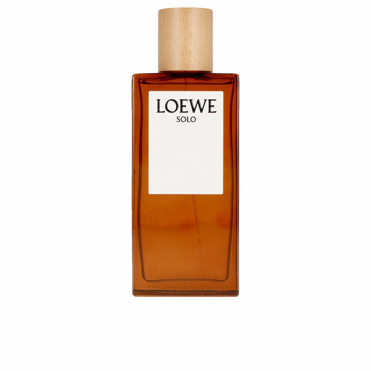 Men’s Perfume Loewe SOLO LOEWE 100 ml