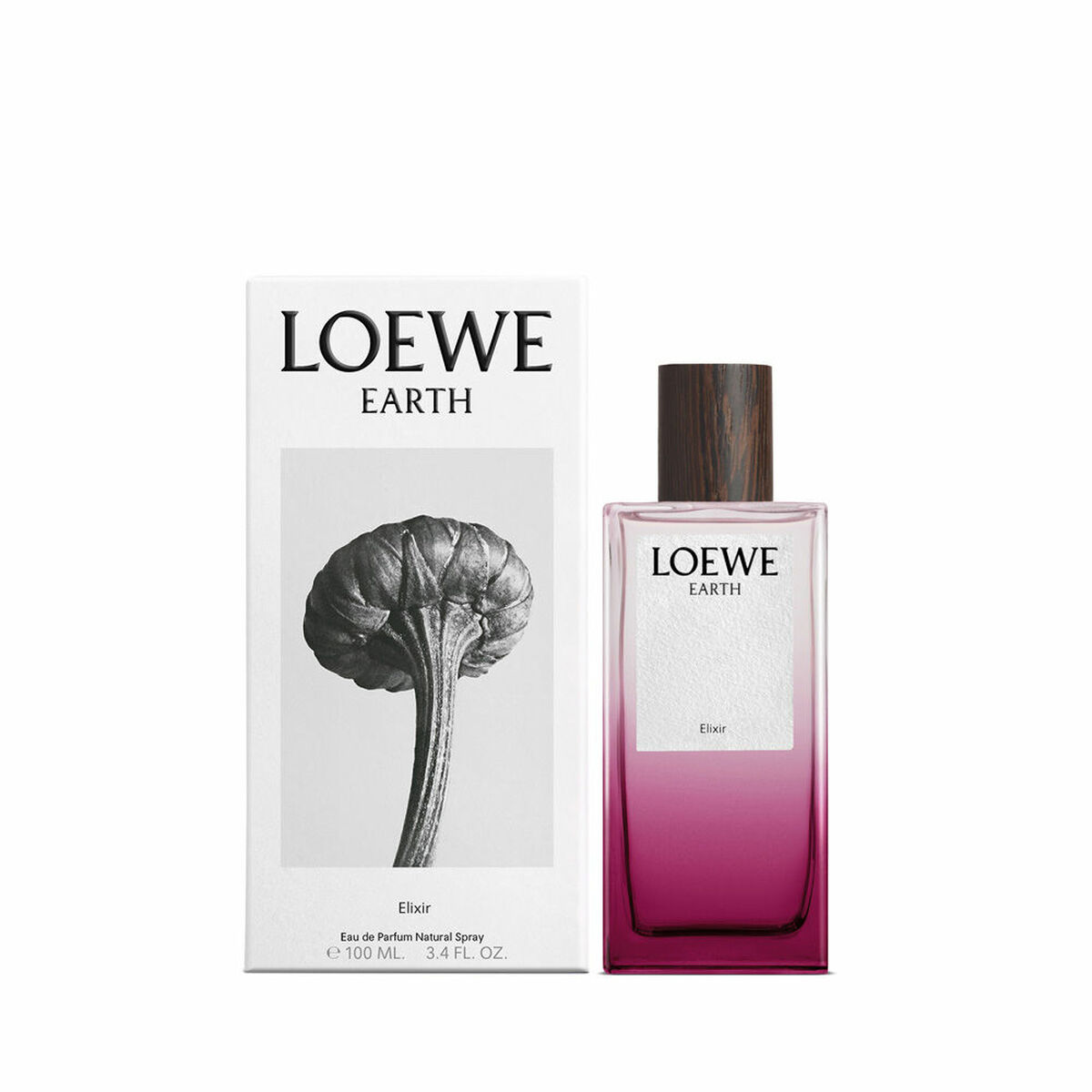 Women’s Perfume Loewe EARTH 100 ml