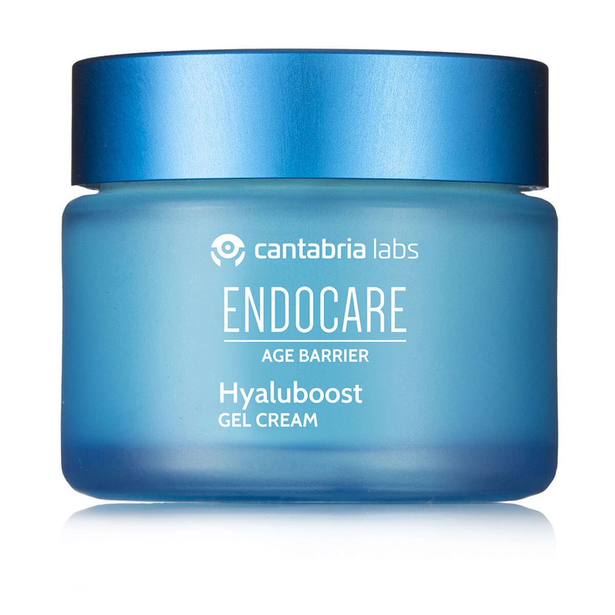 Anti-Ageing Cream Endocare HYALUBOOST 50 ml